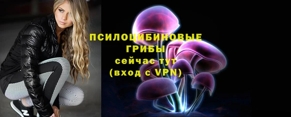 ешки Верхний Тагил