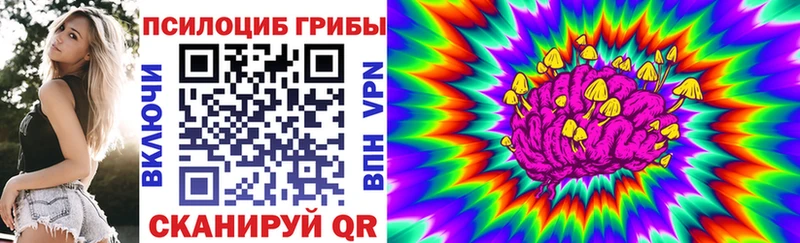 Псилоцибиновые грибы Psilocybe Озёрск